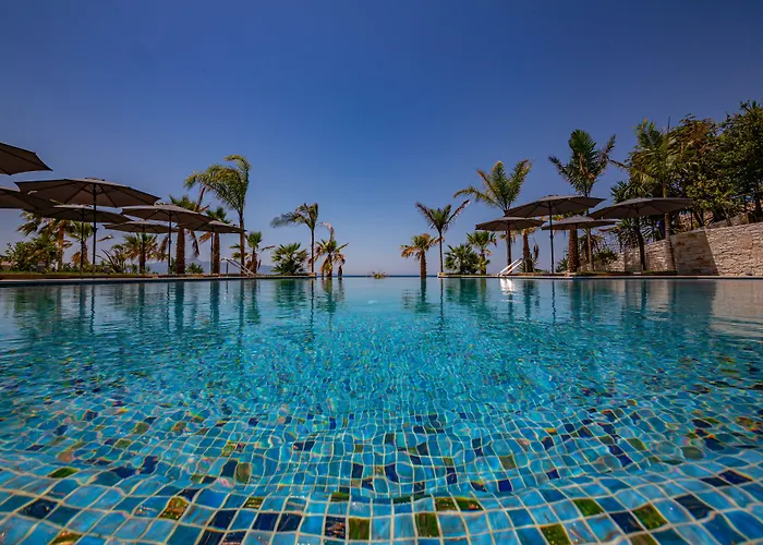 酒店 El Primero 4*